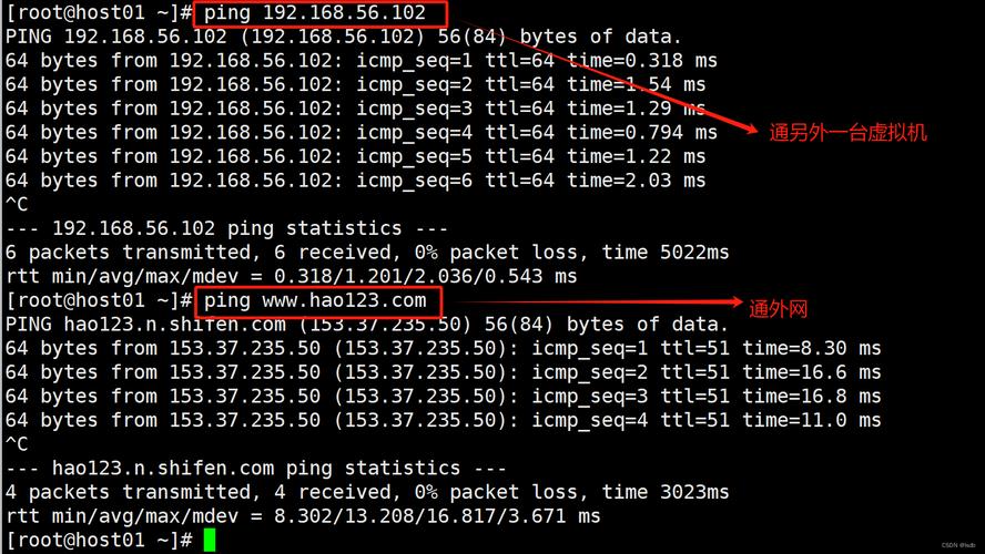 命令配置虚拟机网络，具体步骤是什么？-图1