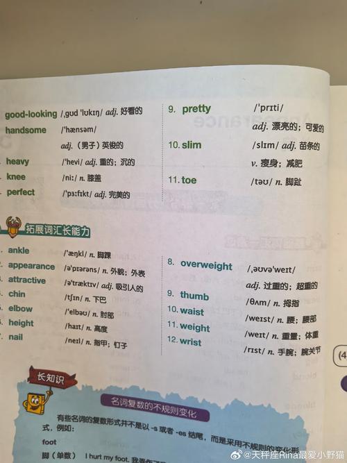 如何有趣记住pretty这个单词?-图3 如何有趣记住pretty这个单词?-图3