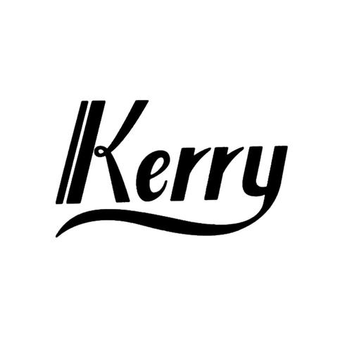 kerryeas招聘,哪些岗位在招?-图3 kerryeas招聘,哪些岗位在招?-图3