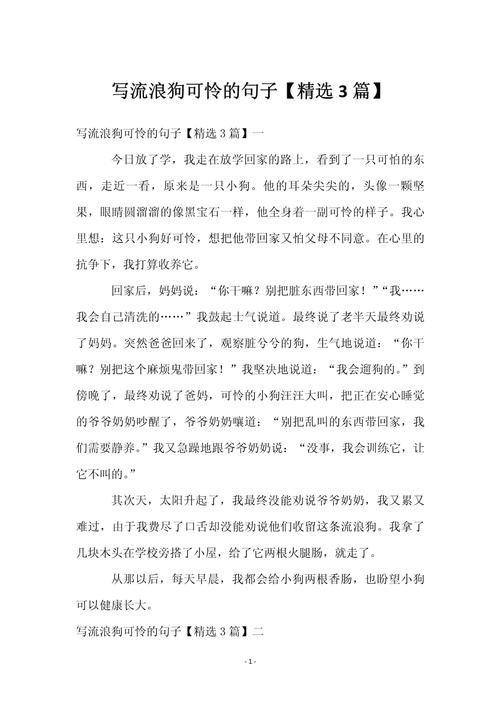 狗狗的可怜怎么写才真实动人？-图1