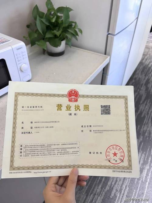 企业营业执照备案如何操作？-图2