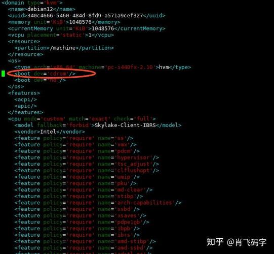 Debian命令行启动的具体操作步骤是什么?-图2 Debian命令行启动的具体操作步骤是什么?-图2