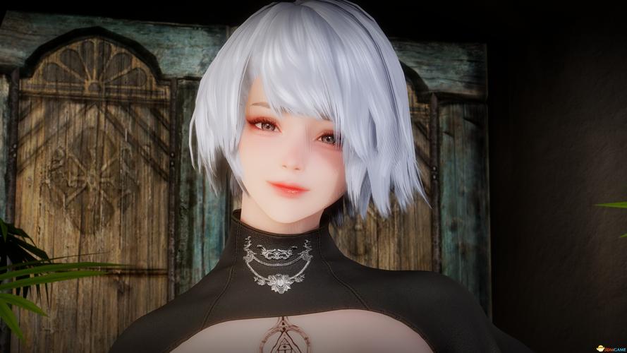 上古卷轴5随从命令怎么用？-图2