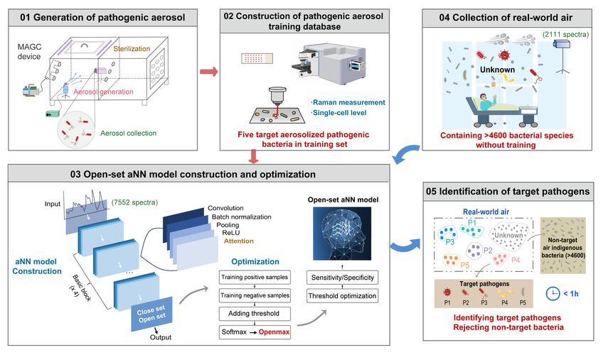 Cellwise招聘,具体岗位和要求是什么?-图1 Cellwise招聘,具体岗位和要求是什么?-图1