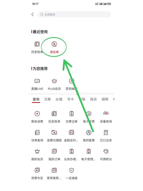 域名黑名单如何正确使用?-图2 域名黑名单如何正确使用?-图2