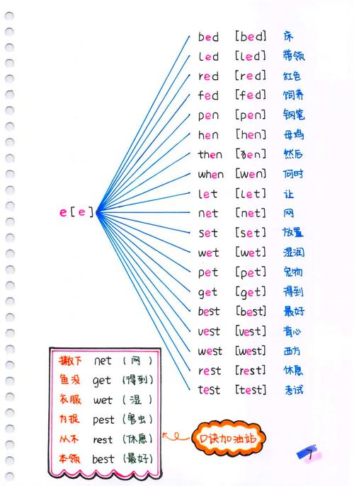 元音规律记单词，如何高效掌握？-图1