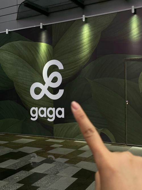 gagamatch招聘什么岗位?要求有哪些?-图1 gagamatch招聘什么岗位?要求有哪些?-图1