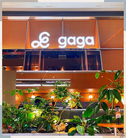 gagamatch招聘什么岗位?要求有哪些?-图2 gagamatch招聘什么岗位?要求有哪些?-图2