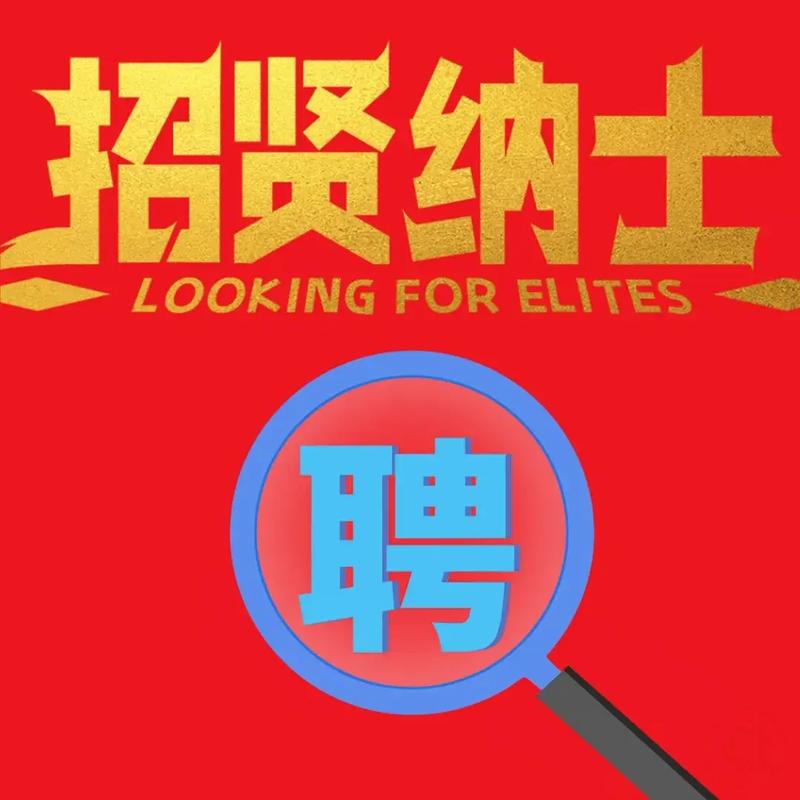 DWP招聘有哪些具体岗位和要求？-图3