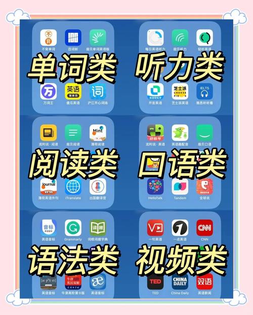 开发单词app下载，用户最关心哪些功能？-图3