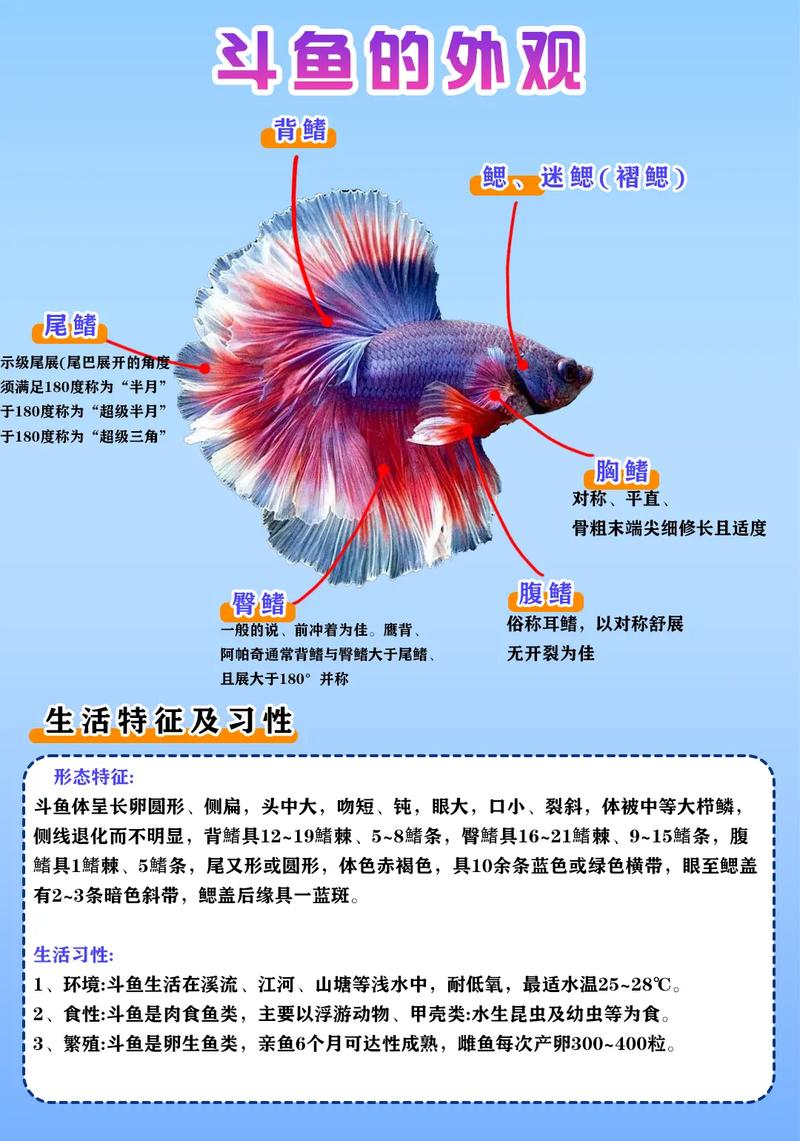 斗鱼招聘有何新动向或岗位需求?-图1 斗鱼招聘有何新动向或岗位需求?-图1