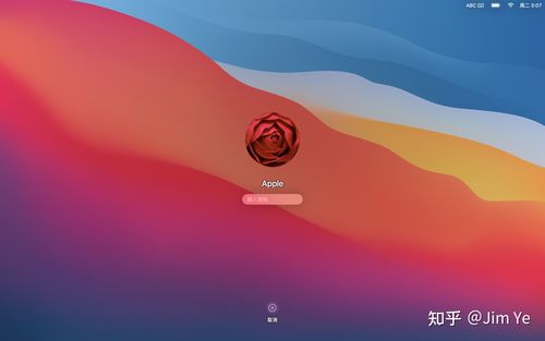 Mac如何用命令行登录MySQL？-图3