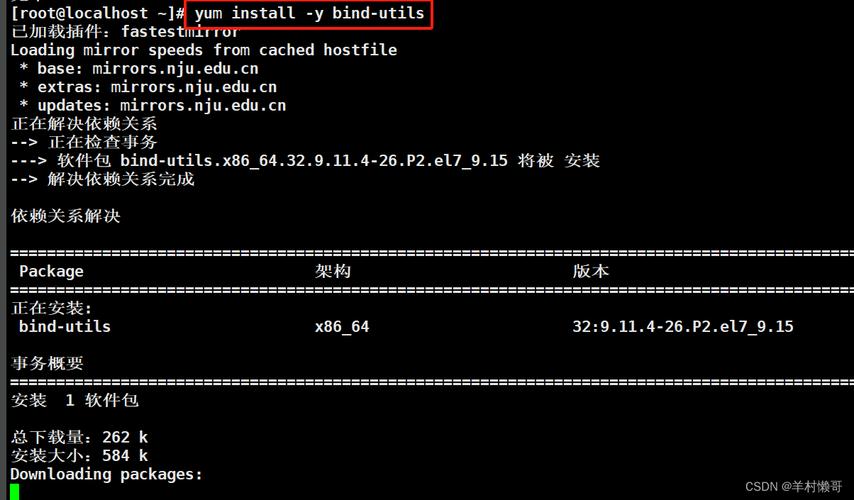 Linux命令行如何正确设置DNS？-图2