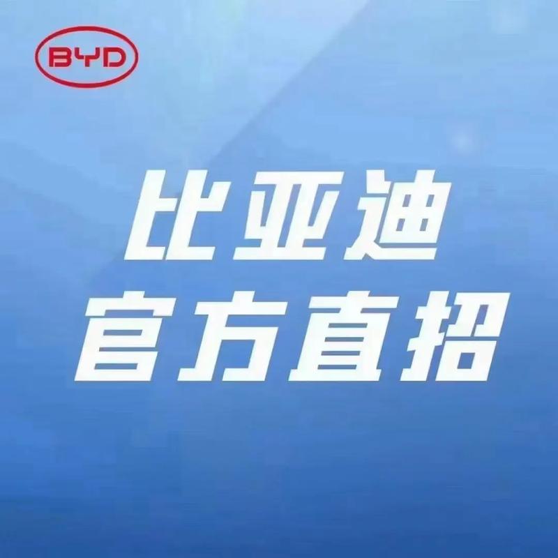 ysplus招聘有何具体岗位和要求？-图3