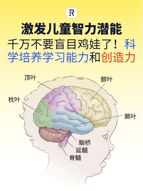 智力障碍小孩启蒙,该从哪步开始?-图3 智力障碍小孩启蒙,该从哪步开始?-图3