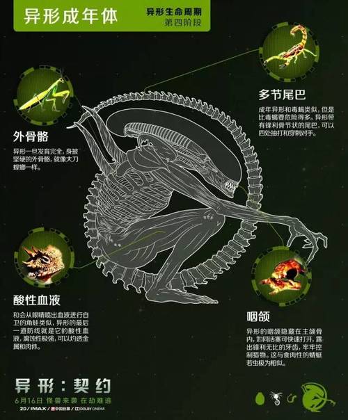 古代异形运行机制究竟是什么?-图2 古代异形运行机制究竟是什么?-图2