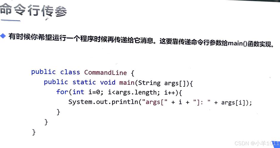Java命令行参数如何传递与解析?-图1 Java命令行参数如何传递与解析?-图1