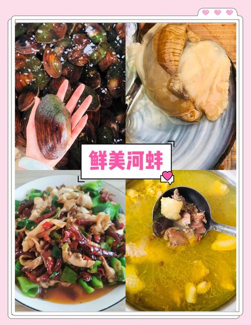 河蚌烧汤前,不腥嫩的关键步骤是什么?-图2 河蚌烧汤前,不腥嫩的关键步骤是什么?-图2