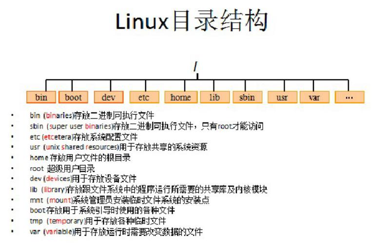 Linux拷贝文件到目录，常用命令是cp吗？-图3