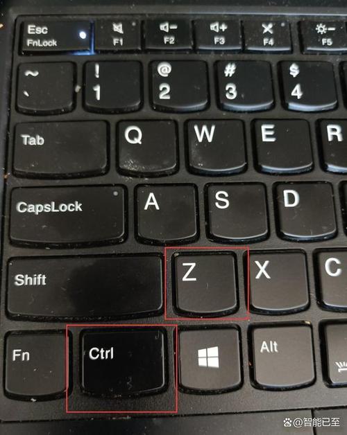 取消命令执行的键是哪个?-图2 取消命令执行的键是哪个?-图2