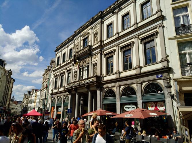 布鲁塞尔招聘有哪些岗位和要求？-图1