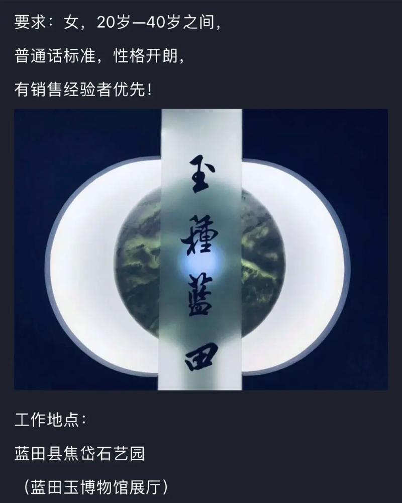 Sedo招聘什么岗位？要求有哪些？-图1