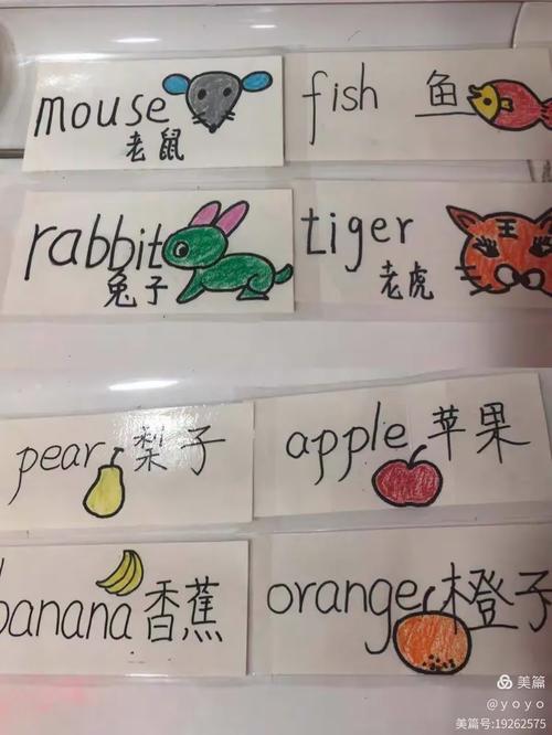 刺猬英文单词怎么记？-图2