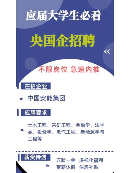 anuo招聘具体岗位和要求是什么？-图2