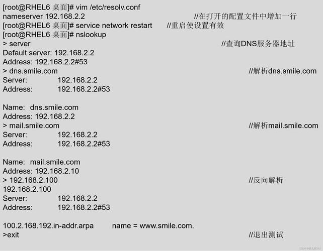 命令行如何正确添加DNS配置？-图3