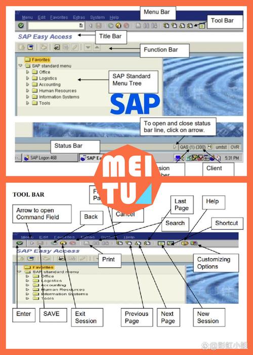 SAP常用命令有哪些?-图3 SAP常用命令有哪些?-图3
