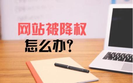 网站降权了怎么办?-图3 网站降权了怎么办?-图3