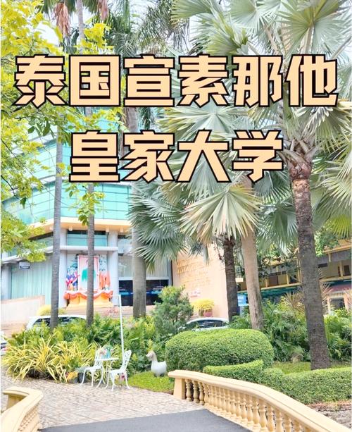 ssru招聘什么岗位?要求有哪些?-图1 ssru招聘什么岗位?要求有哪些?-图1