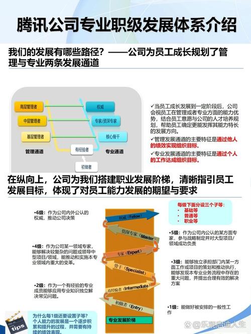 腾讯设计师如何规划项目与职业路径?-图1 腾讯设计师如何规划项目与职业路径?-图1