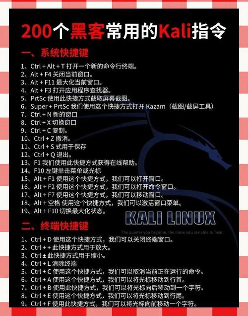 kali如何进入命令行界面？-图3