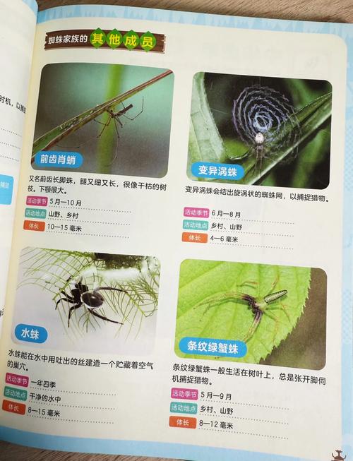 百度蜘蛛怎么识别?-图2 百度蜘蛛怎么识别?-图2