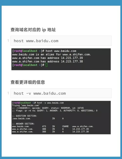 svn命令行checkout如何正确使用？-图3