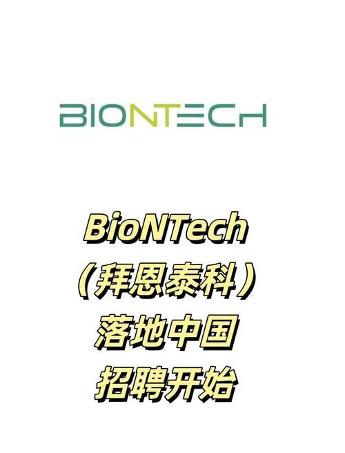 RapidMiner招聘什么岗位？要求有哪些？-图2