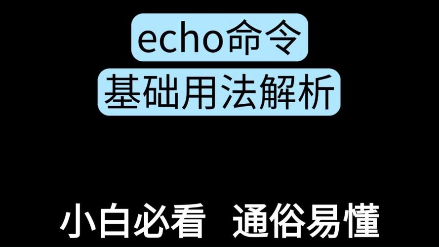 echo命令的作用是什么？-图2