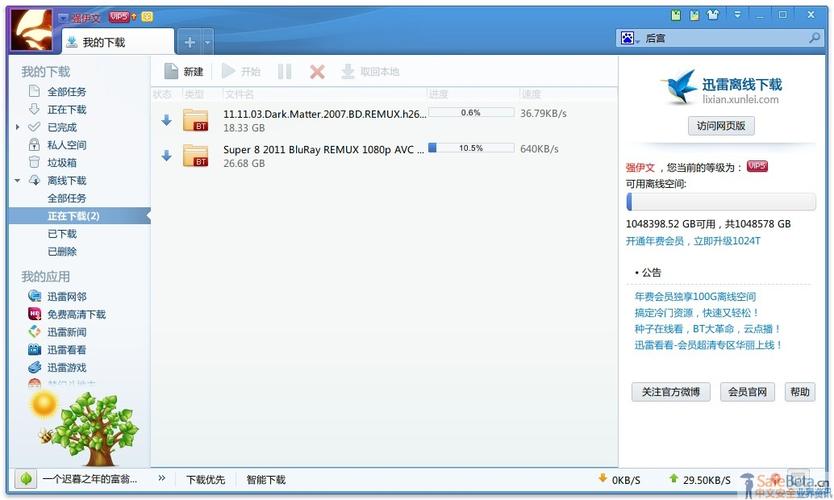 迅雷命令行下载怎么用？-图3