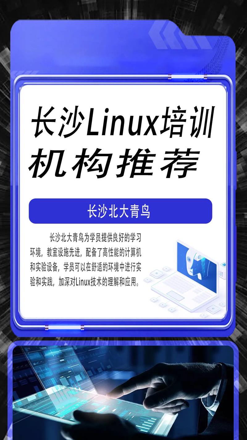 Linx招聘，哪些岗位在招？要求多少？-图3