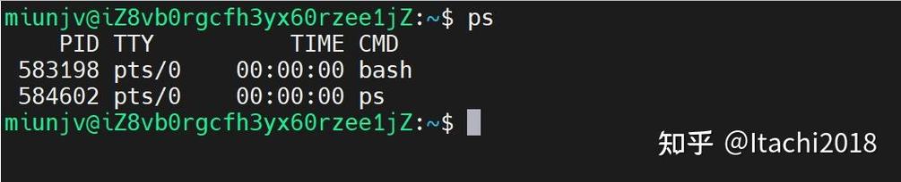 ps命令如何查看Linux进程?-图2 ps命令如何查看Linux进程?-图2