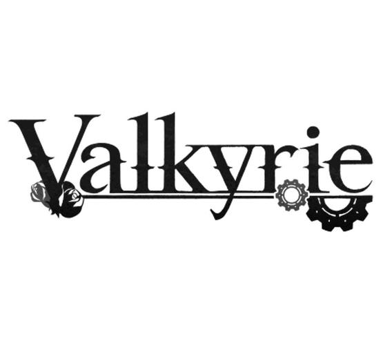 vallen招聘有哪些具体岗位和要求？-图2