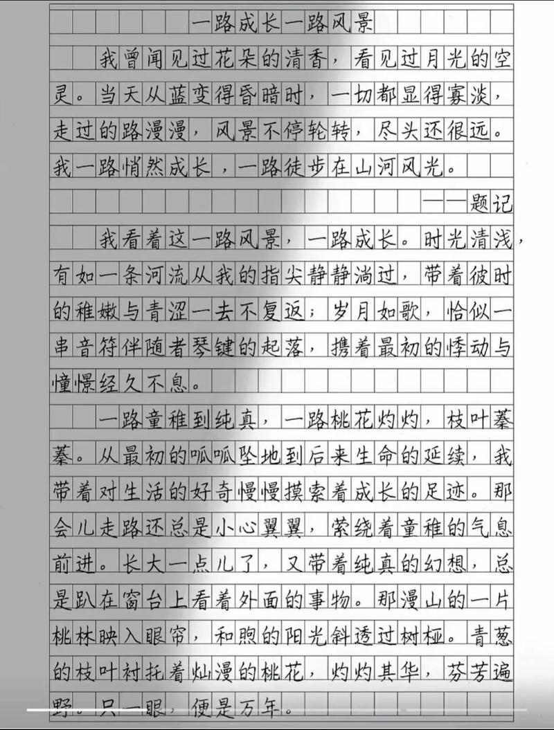 优质原创文章的核心秘诀是什么？-图3