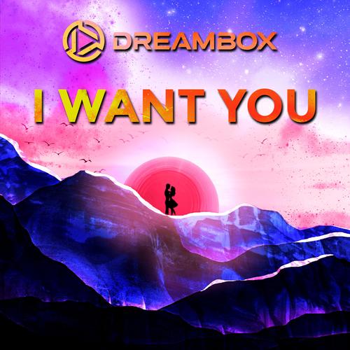 Dreambox招聘，哪些岗位值得投？-图2