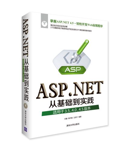 如何查看ASP.NET版本？-图3