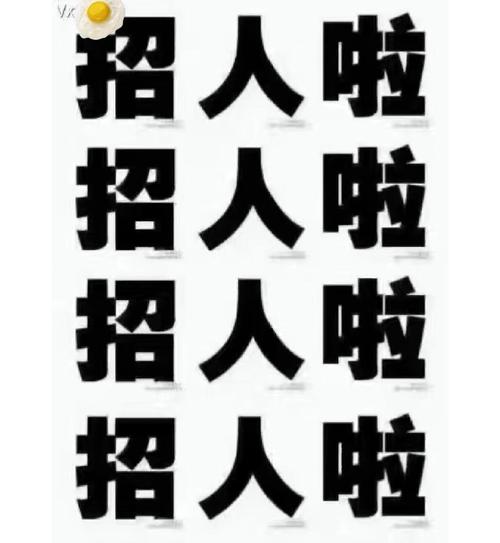 FBT招聘具体岗位和要求是什么？-图3