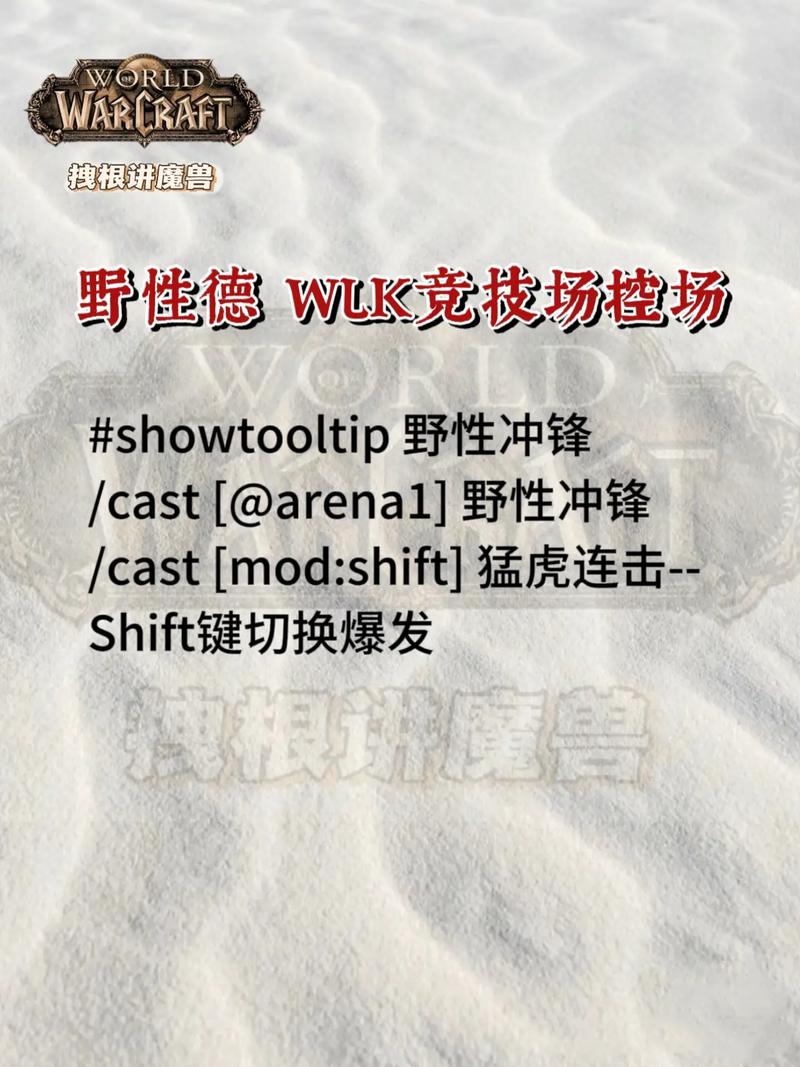 魔兽世界说话命令有哪些具体指令？-图3