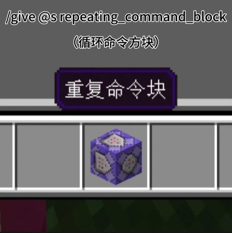 我的世界头命令怎么用？-图3