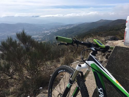 Ricardo招聘，具体岗位和要求是什么？-图3