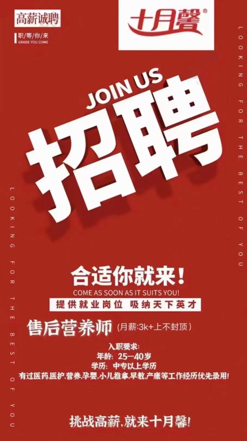 kimtigo招聘有哪些岗位和要求?-图2 kimtigo招聘有哪些岗位和要求?-图2